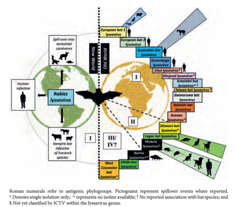 Rabies Guidelines - The Australasian College of Tropical Medicine (ACTM)